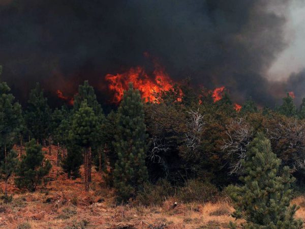 1425326415_1440incendio