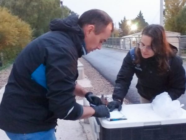 Potabilidad del agua 13-05-2022