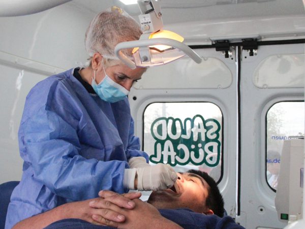 WEB Odontomovil
