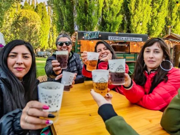 web Fiesta de la Cerveza Artesanal en Junín de los Andes 2