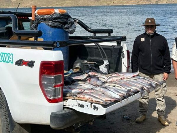 web-Pesca-ilegal-operativos-09-696x387