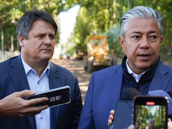 web calle obrero argentino 14