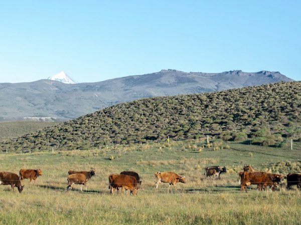 web emergencia por sequía (1)
